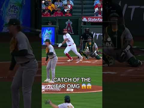 Baseball highlights #mlb#baseball #fyp#usa#funny