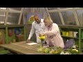 The Family Plot April 15 2017