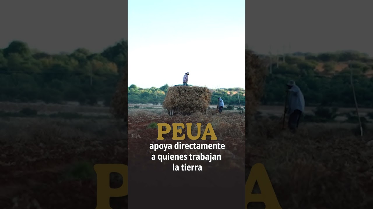 Aviso Importante: Recuerda que tienes hasta el 28 de abril para inscribiste o reinscribirte al PEUA.