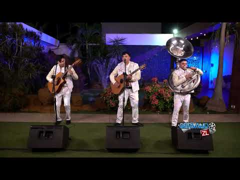 Firme Alianza - El Pariente (En Vivo 2023)