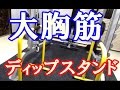 【レビュー】ディップスタンド【大胸筋】