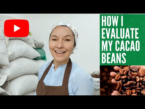 How I evaluate my cacao beans when they arrive to my factory