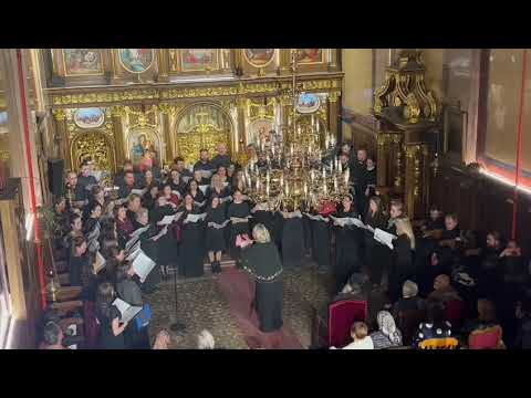 Dostojno jest, Kornelije Stankovic, Wien, 18.02.23