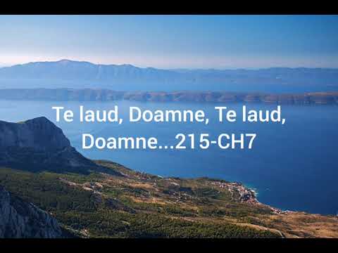 Te laud, Doamne - Nicolae Moldoveanu