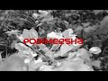 NAZEEB BILLU Podimeesha Ft LIL PAYYAN AZWIN Official Lyrical Video