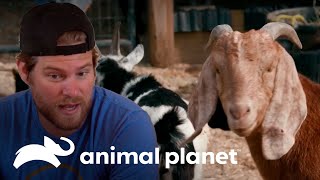 Thumbnail del capítulo