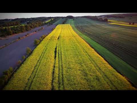 DJI Mini 2 - Brzeziny k/Łodzi