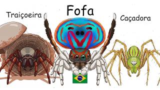Cada Aranha Inofensiva do Brasil Explicada em 9 Minutos (Parte 3)