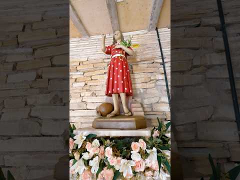 Entronização da Imagem da #meninabenigna em #santanadocariri no #ceará #fe #canonização #vaticano