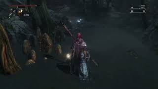 【37】ブラッドボーン  禁域の森と悪夢の辺境  Bloodborne