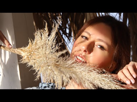 Ksenia Grand  Intro 2 