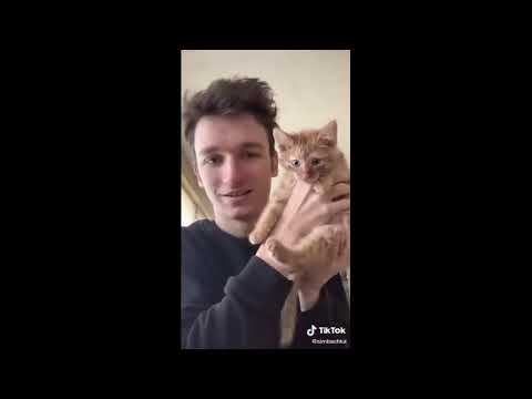 Картинки симбы старшего из тик тока