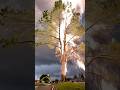 😱Lightning Strikes Tree — It Instantly Catches Fire!
