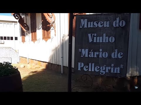 TJ UFSC 13/09/18 - Vem com o TJ: Museu do Vinho