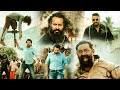 Sulthan Movie Best Fight Scene In Telugu