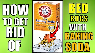 How Do You Use Baking Soda To Kill Bed Bugs FAST !