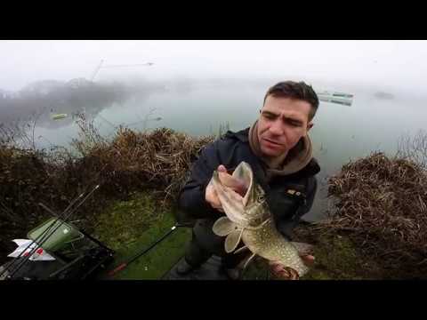 Pike fishing Syndicate Wobbling Deadz
