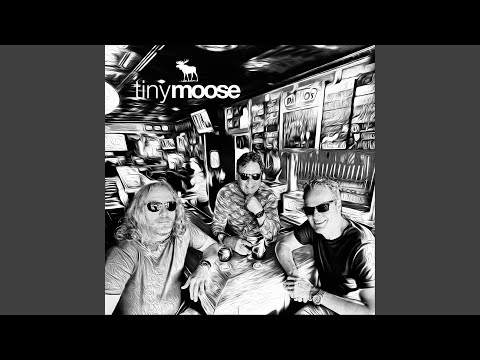 Back For More - Tiny Moose