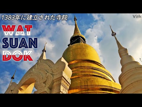 Um lindo templo que muitos Instagrammers visitam [Wat Suan Dok]