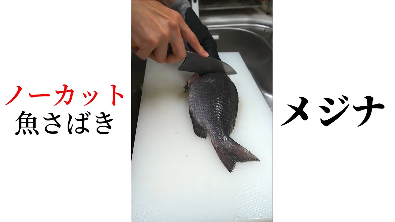 【作業動画】リハビリ魚さばき メジナ #魚さばき#魚捌き #FilletingFish