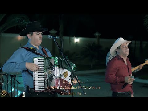 El Potro De Sinaloa Ft. Canelos Jrs - El Jabali (En Vivo 2018)