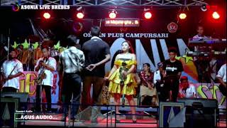 Download lagu ASONIA, Putus Tali Cinta. Edisi Berebes Pamulihann mp3