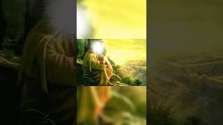 Download lagu Panjang Rambut Rasulullah saw mp3