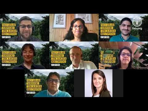 Forest data and transparency: ‘Zoom’ in on Costa Rica’s experience