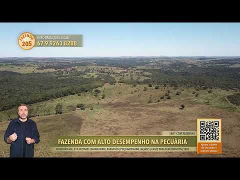 Terralmo 205: Fazenda à venda em Figueirão/MS
