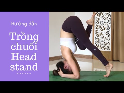 , title : 'Hướng dẫn TRỒNG CHUỐI ♡ FOREARM HEADSTAND dễ hiểu, chi tiết | YogaBySophie.com'