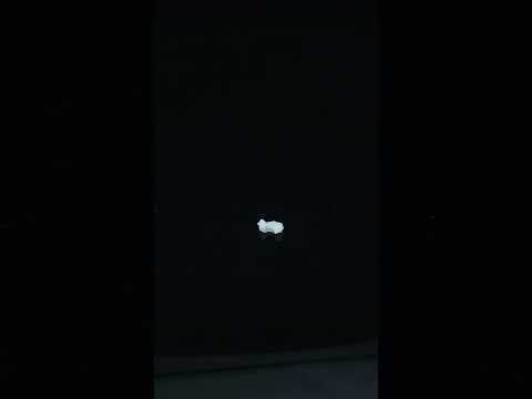 YouTube 썸네일