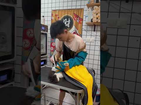 Hiren🤖 | ( severe aggressive cat cleaning💆‍♀️ hard job)