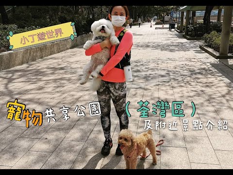 「荃灣區」寵物共享公園🐶🐾及附近景點介紹🌳【小腳掌大世界】