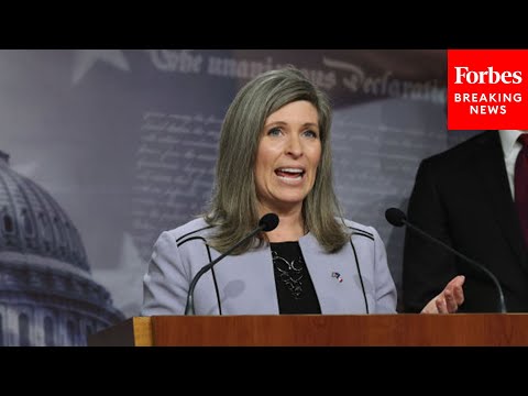 Joni Ernst ROASTS President Biden, relief bill