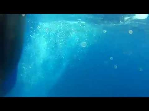 Cozumel dive Full Dive along a shelf drop off