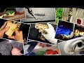 ASMR All In One (Find your ASMR trigger) ASMR All In One (Find your ASMR trigger)