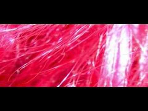 DISCOCAINE monodose 0.1