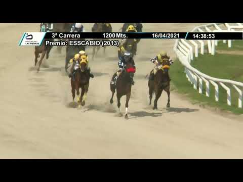 210416 c03 - FRISASTICA - HIPODROMO LAS PIEDRAS