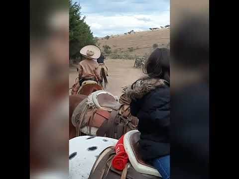 Tarde de piales Rancho el.Rosario