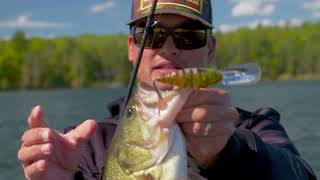 Воблер megabass deep-x 300 eastern chart