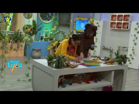 Transmisión en vivo de TV Nuevo Tiempo