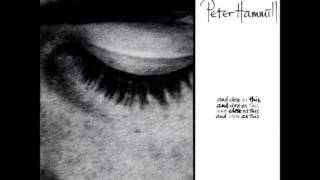 Peter Hammill - Too Many of My Yesterdays