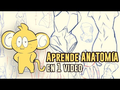 Cómo Dibujar Anatomía Básica (Original)