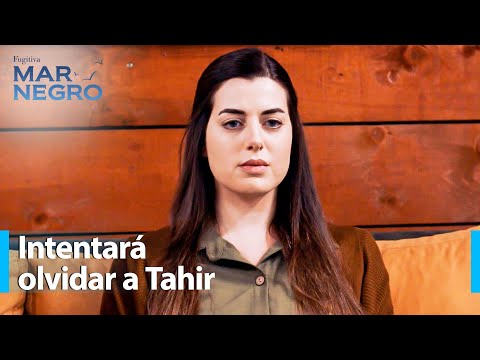 Mercan Decides to Get Married - Black Sea Chapter 155 | Fugitive