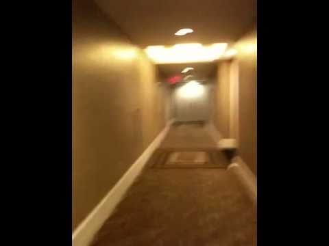 Hotel Sex Noises 113