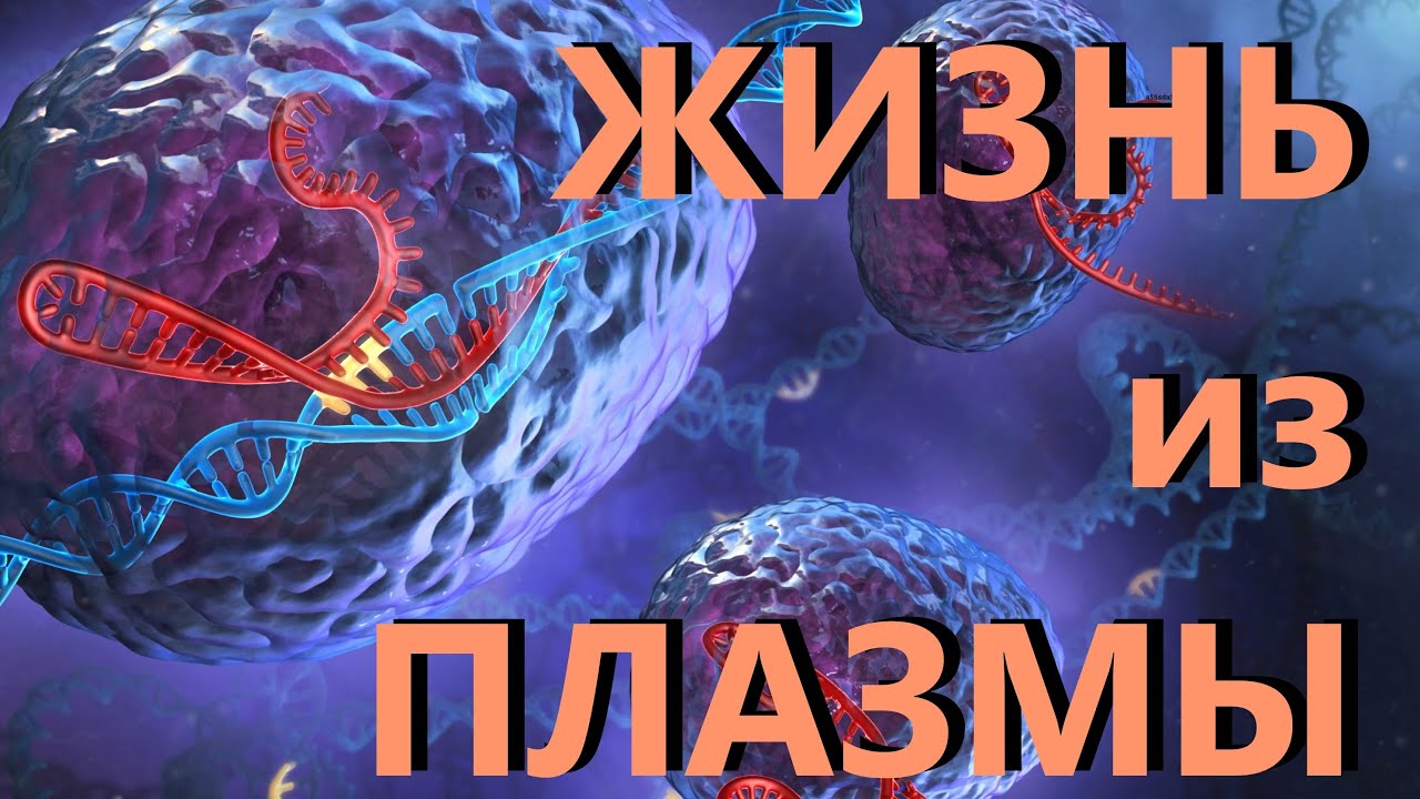 ��������� ����� �� ����� - ��� ������ ����