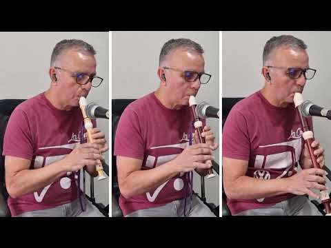 Danza de Hércules - Susato - Flauta dulce - Vini Fallas