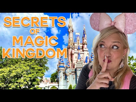 The BEST KEPT SECRETS of Disney World's Most Popular Rides: Magic Kingdom
