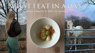 VLOG| What I eat in a day, counting macros & meet my horse!