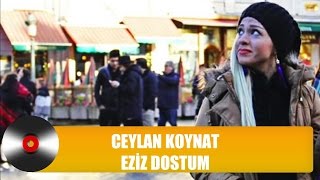 Ceylan Koynat - Eziz Dostum